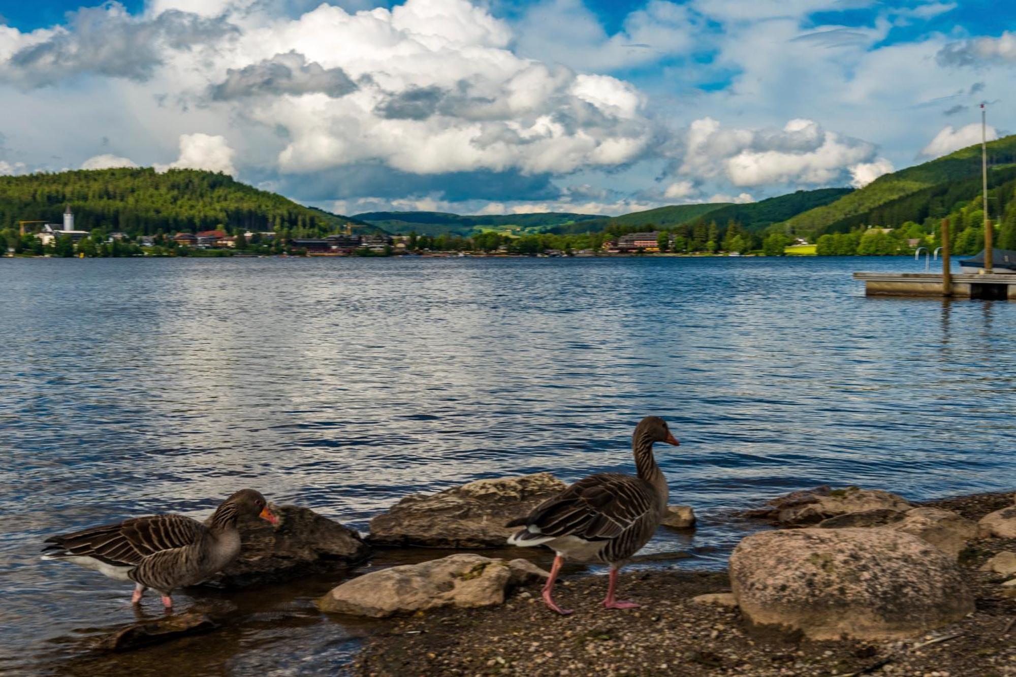 Drei Tannen - Wohnung 12 - Apartmenthaus, Titisee, Nahe Badeparadies Exteriér fotografie